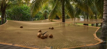 Coconut safety Coconut safety